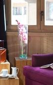 Туры в отель Hotel Les Peupliers Туры в отель Hotel Les Peupliers