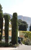 Туры в отель Pamela Hotel Cassis Туры в отель Pamela Hotel Cassis