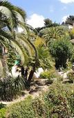Туры в отель Pamela Hotel Cassis Туры в отель Pamela Hotel Cassis