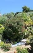Туры в отель Pamela Hotel Cassis Туры в отель Pamela Hotel Cassis