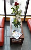 Туры в отель Hotel Ortega Rennes St Jacques Aeroport Туры в отель Hotel Ortega Rennes St Jacques Aeroport