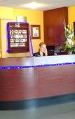 Туры в отель Hotel Ortega Rennes St Jacques Aeroport Туры в отель Hotel Ortega Rennes St Jacques Aeroport