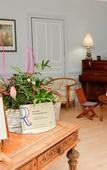 Туры в отель Hotel Le Dauphin Туры в отель Hotel Le Dauphin