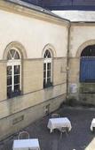 Туры в отель Hotel Le Dauphin Туры в отель Hotel Le Dauphin