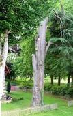 Туры в отель Domaine des Chais Туры в отель Domaine des Chais