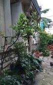 Туры в отель Hotel Acapulco Туры в отель Hotel Acapulco