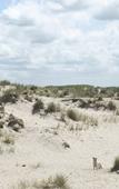 Туры в отель Evancy Etoile des Dunes Туры в отель Evancy Etoile des Dunes