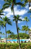 Туры в отель Mauna Kea Beach Туры в отель Mauna Kea Beach