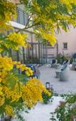 Туры в отель Best Western Hotel JOURNEL Saint-Laurent-du-Var Aeroport Туры в отель Best Western Hotel JOURNEL Saint-Laurent-du-Var Aeroport