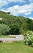 Туры в отель Hotel Le Domaine des Vignes Туры в отель Hotel Le Domaine des Vignes