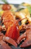 Туры в отель Hotel Ile de Re Туры в отель Hotel Ile de Re