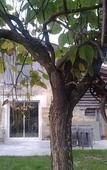 Туры в отель Au Velo dans l'Arbre Туры в отель Au Velo dans l'Arbre