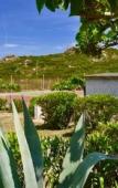 Туры в отель Domaine Bocca Di Feno Туры в отель Domaine Bocca Di Feno
