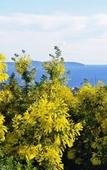 Туры в отель Hotel La Voile Туры в отель Hotel La Voile