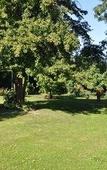 Туры в отель Manoir des Lions de Tourgeville Туры в отель Manoir des Lions de Tourgeville