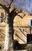 Туры в отель Clos St Pierre de Fraisse Туры в отель Clos St Pierre de Fraisse