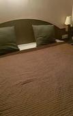 Туры в отель Hotel Bloom Туры в отель Hotel Bloom