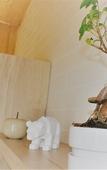 Туры в отель What Else Hotel Туры в отель What Else Hotel