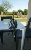 Туры в отель What Else Hotel Туры в отель What Else Hotel