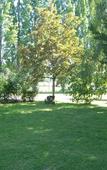 Туры в отель Camping les Terrasses de Rivarennes Туры в отель Camping les Terrasses de Rivarennes