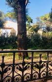 Туры в отель Residence Filippi Туры в отель Residence Filippi
