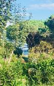 Туры в отель Residence Filippi Туры в отель Residence Filippi