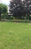 Туры в отель La Noisetiere Туры в отель La Noisetiere