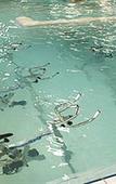 Туры в отель Hotel Valdys Thalasso & Spa - les Pins Туры в отель Hotel Valdys Thalasso & Spa - les Pins