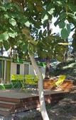 Туры в отель Des Branches & Vous Туры в отель Des Branches & Vous