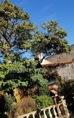 Туры в отель La Maison Blanche Туры в отель La Maison Blanche