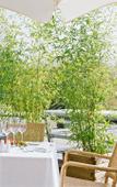 Туры в отель La Clairiere Bio & Spahotel Туры в отель La Clairiere Bio & Spahotel