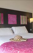 Туры в отель Hotel Baptistin Туры в отель Hotel Baptistin