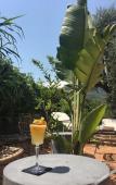Туры в отель Hotel Avocado Туры в отель Hotel Avocado