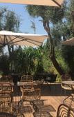 Туры в отель Hotel Avocado Туры в отель Hotel Avocado