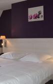 Туры в отель Brit Hotel du Dauphin Туры в отель Brit Hotel du Dauphin