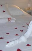 Туры в отель Brit Hotel du Dauphin Туры в отель Brit Hotel du Dauphin