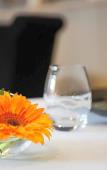 Туры в отель Brit Hotel du Dauphin Туры в отель Brit Hotel du Dauphin