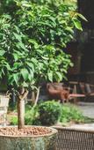 Туры в отель Hotel SOCLO Туры в отель Hotel SOCLO