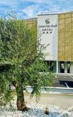 Туры в отель Courrier Sud Туры в отель Courrier Sud