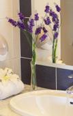 Туры в отель Mayfair Hotel Туры в отель Mayfair Hotel