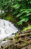 Туры в отель Domaine de Blangy Туры в отель Domaine de Blangy