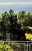 Туры в отель VILLA CASTEL Maison d'hotes & Jardin de Cuisine Vivante Туры в отель VILLA CASTEL Maison d'hotes & Jardin de Cuisine Vivante