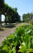 Туры в отель VILLA CASTEL Maison d'hotes & Jardin de Cuisine Vivante Туры в отель VILLA CASTEL Maison d'hotes & Jardin de Cuisine Vivante