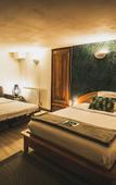 Туры в отель La Villa du Rhone Туры в отель La Villa du Rhone