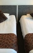 Туры в отель Savoie Hotel Туры в отель Savoie Hotel