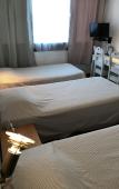 Туры в отель Savoie Hotel Туры в отель Savoie Hotel
