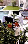 Туры в отель Maison d'hotes La Domitia Туры в отель Maison d'hotes La Domitia