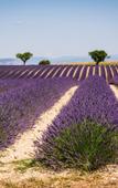 Туры в отель Hotel Provence Туры в отель Hotel Provence