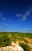 Туры в отель Chateau l'Hospitalet Wine Resort Туры в отель Chateau l'Hospitalet Wine Resort