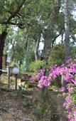 Туры в отель Cybeles Vacances Camping Les Alberes Туры в отель Cybeles Vacances Camping Les Alberes
